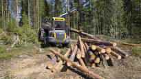 The EU does not ban cutting down forests for heating