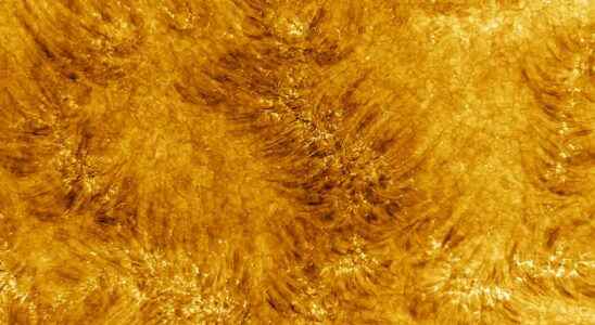 These images of the Suns surface are breathtaking