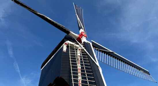 Utrecht windmills have a chance to win a large cash