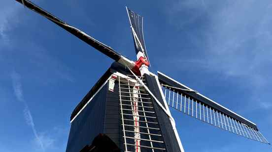 Utrecht windmills have a chance to win a large cash