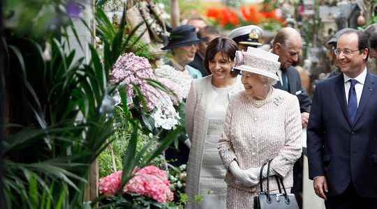 Versailles violets and Norman stud farms what Elizabeth II preferred