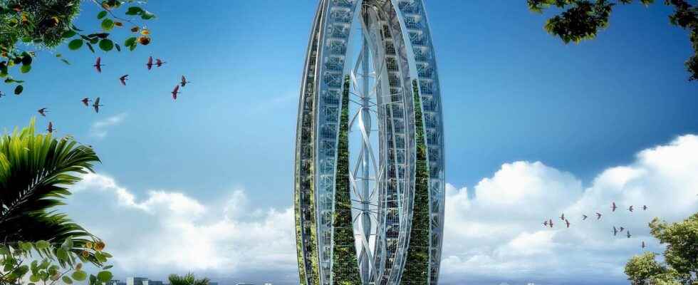 Walks in the bionic cities of the future by Vincent