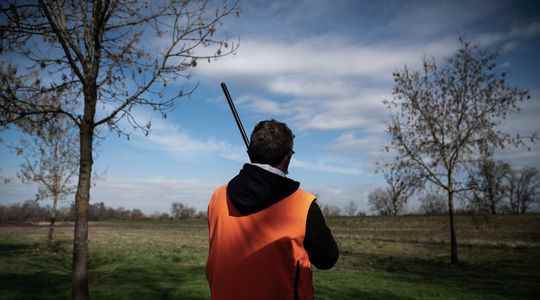 Accidents controversies For hunting a framework that has become inevitable