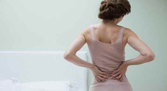 Back pain effective cognitive behavioral therapy against pain