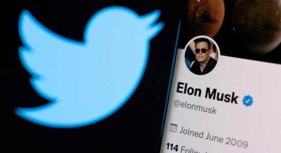 Elon Musk editor of Twitter