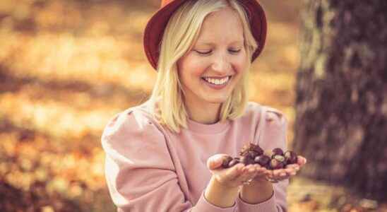 Fruit of the season the chestnut has also many benefits