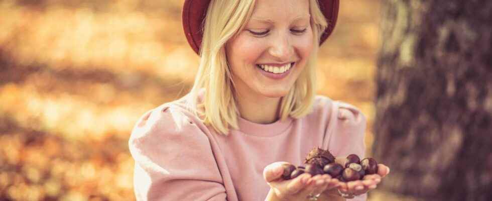 Fruit of the season the chestnut has also many benefits