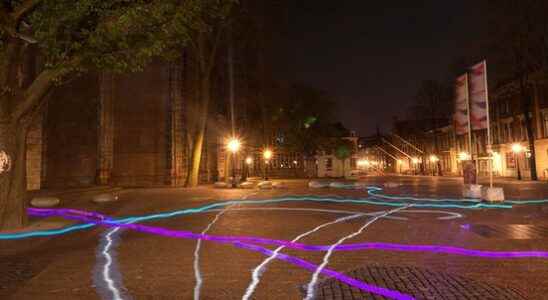 Light installation reveals the elephant paths on Domplein We hope
