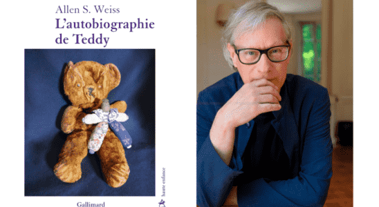 Literature Teddys autobiography Allen Weiss library trip