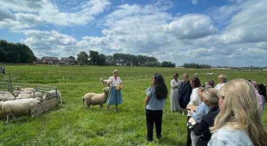 MEPs visit Baambrugse wool farm Wool is passed on to