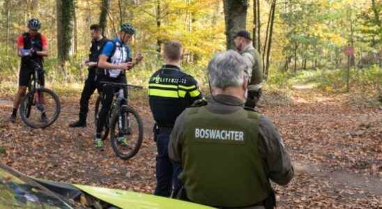 Major enforcement action in the forests around Lage Vuursche We