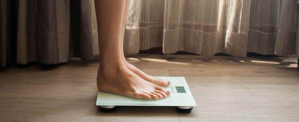 Premenopause increasing your protein portion would prevent weight gain