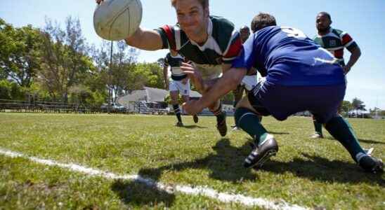 Rugby concussions a danger that rugby authorities seek to curb