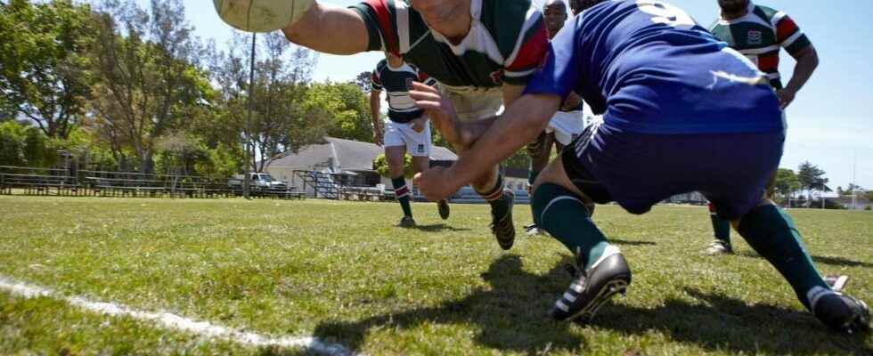 Rugby concussions a danger that rugby authorities seek to curb