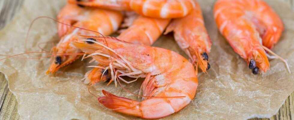 Shrimp based moisturizers new innovation to limit food waste