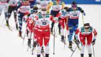 The author of the report on Norwegian womens skiing warns