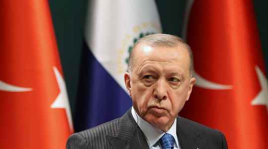 Turkey how the economist Erdogan is driving business leaders crazy