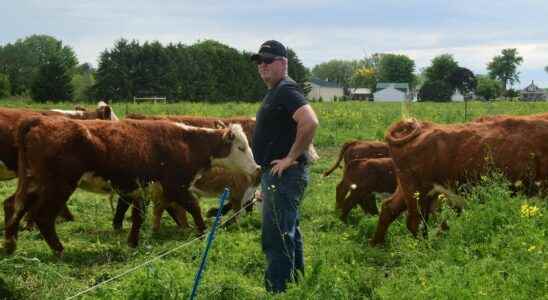 Why a long time cover crop advocate is adding cattle to
