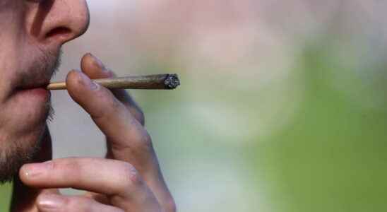 will it be legalized in France A bill filed