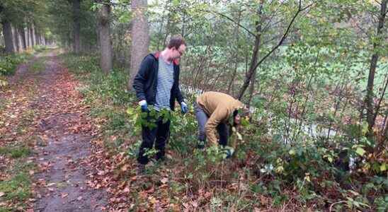 1300 volunteers roll up their sleeves during Nature Working Day