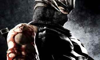 A reboot of Ninja Gaiden and Dead or Alive to