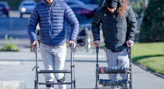 After making paraplegics walk they identify the neurons essential for