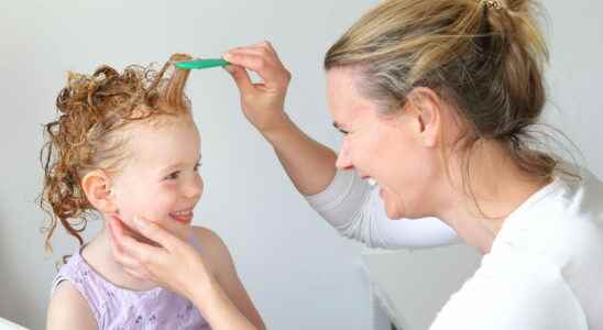 Anti lice effective treatments without insecticides