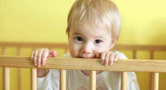 Bed rail our baby safety selection