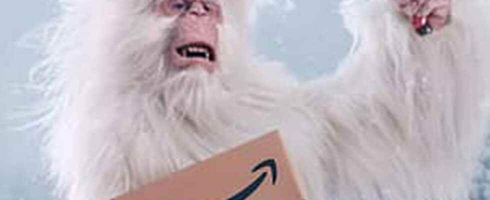 Black Friday Amazon its almost over Ultimate Cyber ​​Monday deals