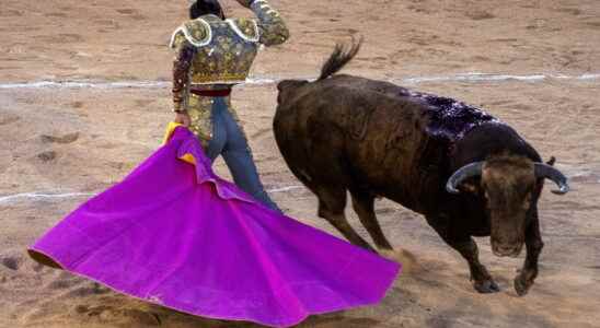 Bullfighting law adopted or rejected The debates and the result