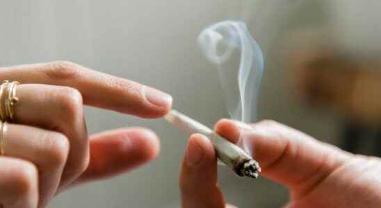 Cannabis smokers more at risk of emphysema than cigarette smokers