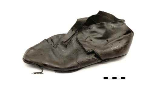 Centuries old shoe and muzzle found in the expansion of the