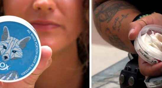 Children are attracted to gangs with white snus
