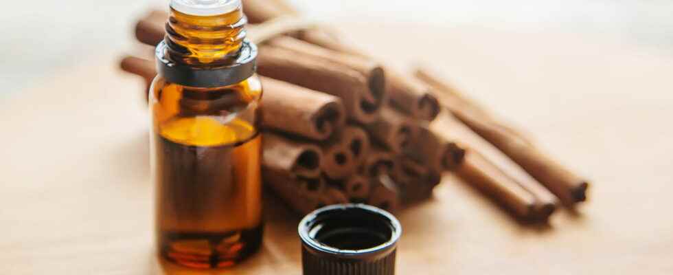 Cinnamon essential oil benefits wart gastro