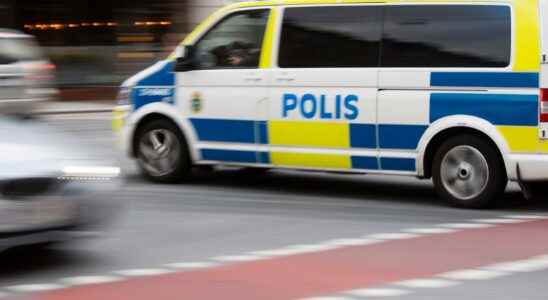 Dog bit a man in the face in Gothenburg