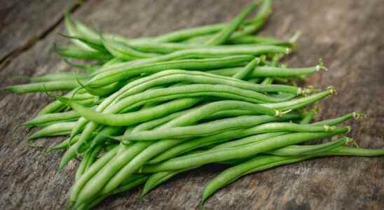 ELeclerc frozen green beans recalled