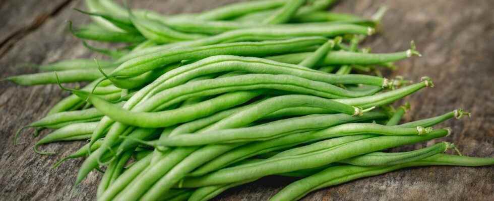 ELeclerc frozen green beans recalled