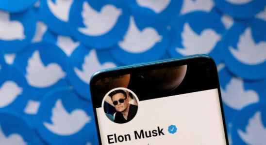 Elon Musk puts Donald Trumps return to Twitter in the