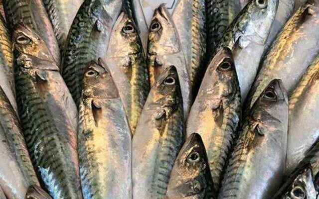 Experts warn Omega 3 source can cause blindness