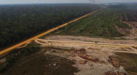French banks accused of financing deforestation in the Amazon