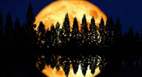 Full Moon 2022 The Effects of the November 8 Beaver