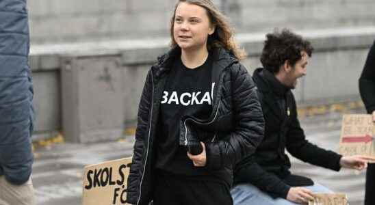 Greta Thunberg and hundreds of young people are suing the