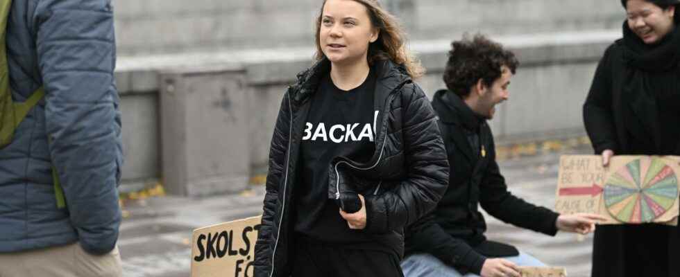 Greta Thunberg and hundreds of young people are suing the