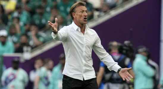 Herve Renard who is the French coach hero of Saudi