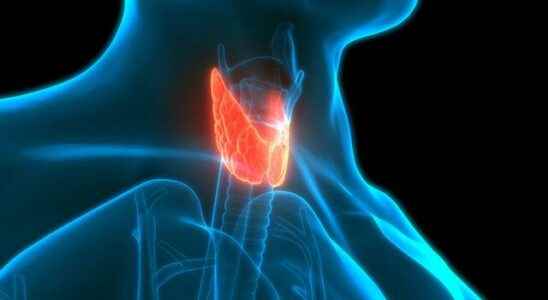 How is thyroid gland inflammation diagnosed What should be paid