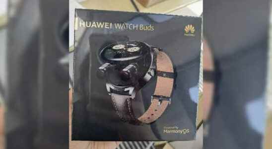Huawei Watch Buds smartwatch with earphones turned out to be