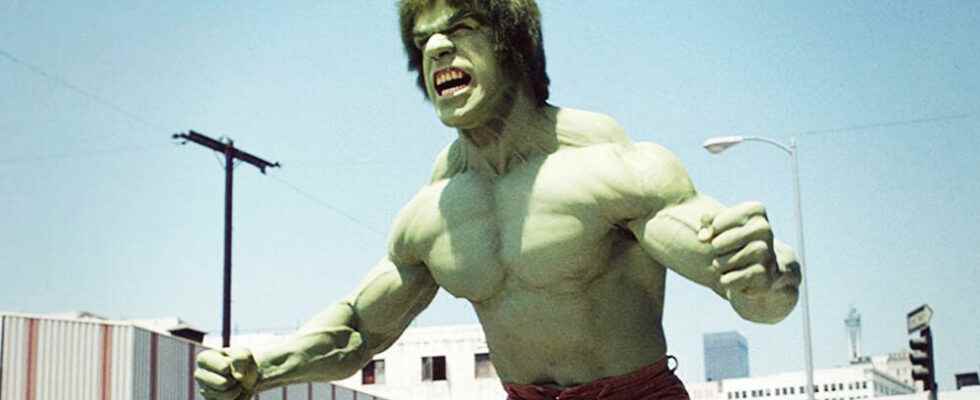 Lost Hulk Director Reveals Stan Lees Surprising Wish