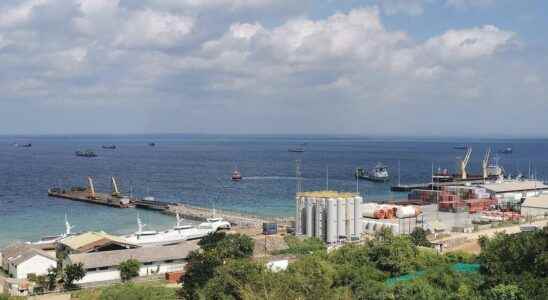 Mozambique announces its first liquefied natural gas exports