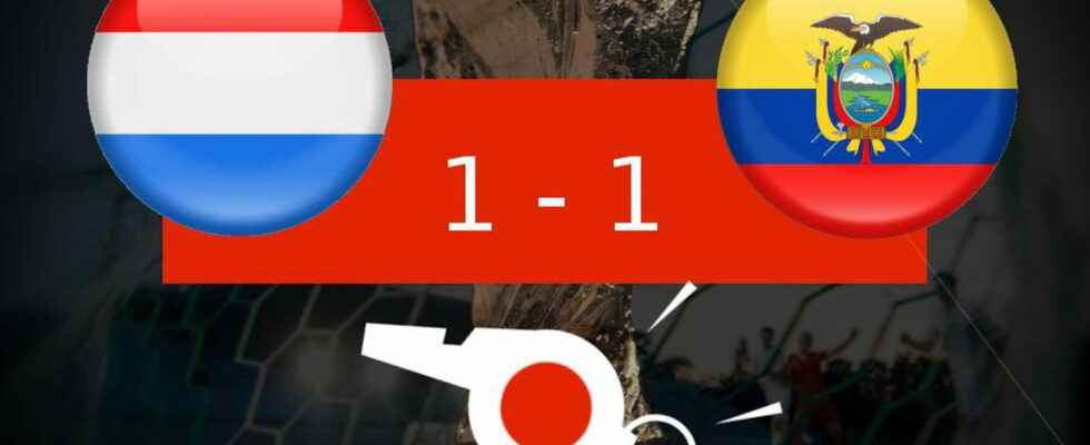 Netherlands Ecuador highlights of the match the summary of