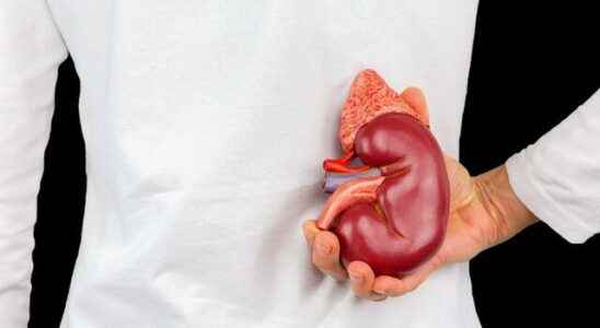 Noticeable difference in kidney damage Women compared to men